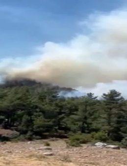 Isparta’da Orman Yangını Yerleşim Yerlerini Tehdit Ediyor