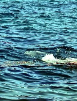 İstanbul Sıcak, Daha Sıcak Olacak! Marmara Bölgesi'nde Sıcaklıklar 5 ile 10 Derece Artış Gösterecek