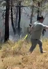 İstanbul'da Aydos Ormanı'nda Yangın &Ccedil;ıktı! Ekiplerin M&uuml;dahalesiyle Kontrol Altına Alındı