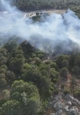 İstanbul'da Aydos Ormanı'nda Yangın Meydana Geldi