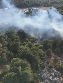 İstanbul'da Aydos Ormanı'nda Yangın Meydana Geldi