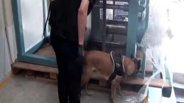 İstanbul'da Hareketli Anlar: TIR'da Ele Geçirildi, Tam 60 Kilo!