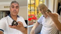 İstanbul'da Şaşırtan Gelişme! Sokakta Yaralı Bulduğu Kuş 6 Yıl Sonra Döndü