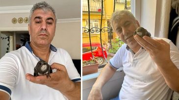 İstanbul'da Şaşırtan Gelişme! Sokakta Yaralı Bulduğu Kuş 6 Yıl Sonra D&ouml;nd&uuml;