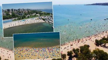 İstanbul'un Plaj Karnesi: Hangi Plajlar Temiz, Hangi Plajlarda Risk Var?