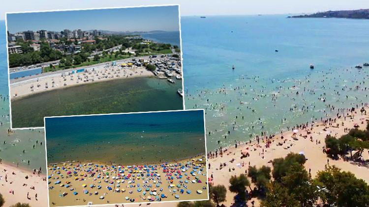 İstanbul'un Plaj Karnesi: Hangi Plajlar Temiz, Hangi Plajlarda Risk Var?