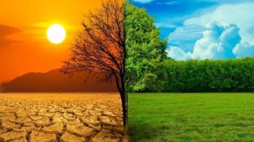 İşte 'İklim Kanunu' Ger&ccedil;ekleri! Bakanlık Madde Madde A&ccedil;ıkladı: O İddialara Net Cevaplar