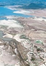 İZBB Başkanı Tugay&rsquo;a bilim insanından tepki!