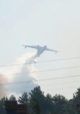 İzmir Aliağa'da Otluk Alanda Yangın! R&uuml;zgarla B&uuml;y&uuml;yor