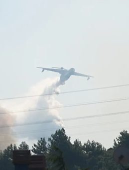 İzmir Aliağa'da Otluk Alanda Yangın! Rüzgarla Büyüyor