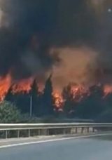 İzmir Buca&rsquo;da Orman Yangını