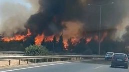 İzmir Buca’da Orman Yangını