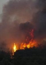 İzmir Urla'daki Orman Yangını Kontrol Altına Alındı!