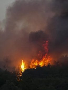 İzmir Urla'daki Orman Yangını Kontrol Altına Alındı!
