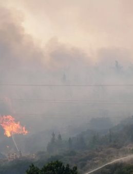 İzmir'de Alevlerle Mücadele! Havadan ve Karadan Müdahale Devam Ediyor: AFAD Son Durumu Paylaştı