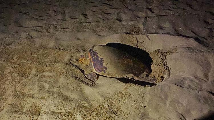 İzmir'de yılın ilki gerçekleşti! 'Hemen o alandan uzaklaşın…'
