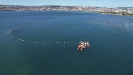İzmit Körfezi'nde 100 Bin Kamyon Çamurun Çıkarıldığı Bölgedeki İyileşme Görüntülendi