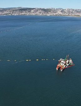 İzmit Körfezi'nde 100 Bin Kamyon Çamurun Çıkarıldığı Bölgedeki İyileşme Görüntülendi