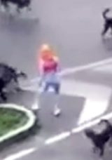 Kadın ve Kedi Y&uuml;r&uuml;y&uuml;ş Sırasında Sokak K&ouml;peklerinin Saldısına Uğradı