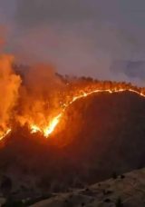 Kahramanmaraş'ta Orman Yangını Evleri Tehdit Ediyor: 3 Ev Alevlere Kapıldı ve 18 Ev Tahliye Edildi
