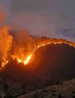 Kahramanmaraş'ta Orman Yangını Evleri Tehdit Ediyor: 3 Ev Alevlere Kapıldı ve 18 Ev Tahliye Edildi
