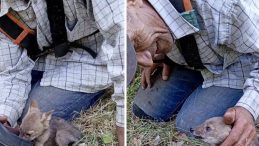 Kalpleri ısıtan görüntü: Yanına gelince ayakkabısı ile su içirdi