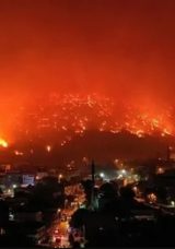 KARAB&Uuml;K VE BURSA ORMAN YANGINI SON DURUM: 21 kişi tutuklandı! Orman yangınları kontrol altına alındı mı?