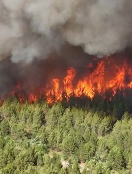 Karabük ve Manisa'da Orman Yangını: Alevlerle Mücadele Devam Ediyor!