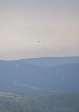 Karab&uuml;k'te Orman Yangını Felaketi