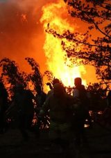 Karab&uuml;k'te &Uuml;&ccedil; Orman Yangını!