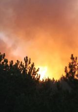 Karab&uuml;k'te &Uuml;&ccedil;&uuml;nc&uuml; Orman Yangını 12 Saatte Kontrol Altına Alındı