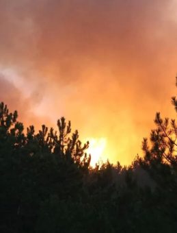Karabük'te Üçüncü Orman Yangını 12 Saatte Kontrol Altına Alındı
