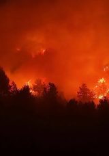 Karab&uuml;k'teki Orman Yangınları 7 G&uuml;n S&uuml;ren M&uuml;cadelenin Ardından Kontrol Altına Alındı