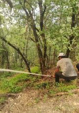 Karab&uuml;k&rsquo;teki Orman Yangını Nedeniyle Bazı Yerleşim Yerleri Boşaltıldı