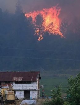 Karabük’teki Orman Yangınına 100 Saattir Müdahale Ediliyor