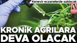 Kenevir Eczanelerde Satışa Sunulacak: Kronik Ağrılara Çözüm Olacak