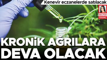 Kenevir Eczanelerde Satışa Sunulacak: Kronik Ağrılara &Ccedil;&ouml;z&uuml;m Olacak