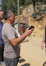 Kırıkkale&rsquo;de Gizemli Hayvan &Ouml;l&uuml;mleri: 210 K&uuml;&ccedil;&uuml;kbaş Telef Oldu
