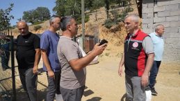 Kırıkkale’de Gizemli Hayvan Ölümleri: 210 Küçükbaş Telef Oldu