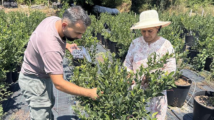 KKTC'de okurken tadından etkilendi, şimdi Zonguldak'ta üretimini yapıyor | Litvanya'dan özel toprak getirtti