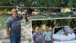 Konya'da Ağacın Düşen Dalı, Piknik Yapanların Üzerine Düştü: 11 Yaralı