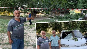Konya'da Ağacın D&uuml;şen Dalı, Piknik Yapanların &Uuml;zerine D&uuml;şt&uuml;: 11 Yaralı