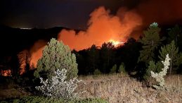 Konya’da 2 Gündür Sürülen Orman Yangınları ile İlgili Şok Açıklama: Alevlerin Yayılma Nedenleri