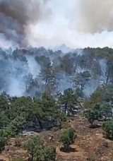 Konya&rsquo;da Ormanlık Alanda Yangın