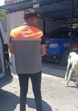 K&ouml;peği Otomobile Bağlayarak &Ccedil;ektiren Şahsa Ceza!