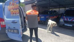 Köpeği Otomobile Bağlayarak Çektiren Şahsa Ceza!