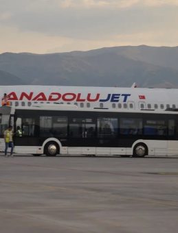 Kuş Çarpması Nedeniyle Uçak Geri Döndü