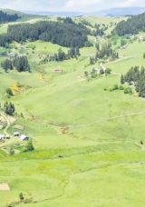 K&uuml;mbet Yaylası Kana Bulandı: 3 &Ouml;l&uuml;, 1 Yaralı