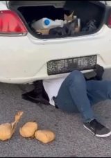 K&uuml;tahya'da Uyuşturucu Operasyonu: 2 Ş&uuml;pheli Tutuklandı!