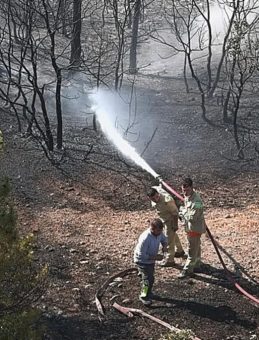 Kütahya'daki Orman Yangını Üzerine Kontrol Sağlandı